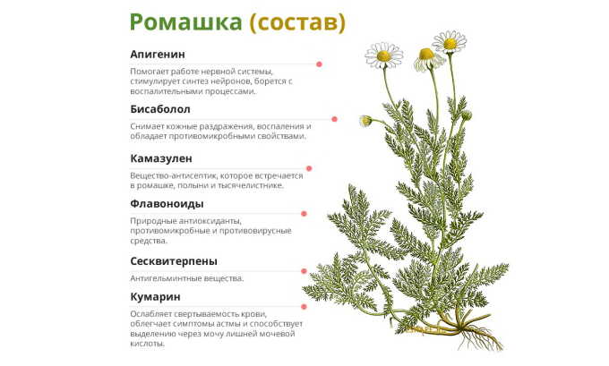 Компрессы из ромашки — простой и эффективный способ избавления от зуда